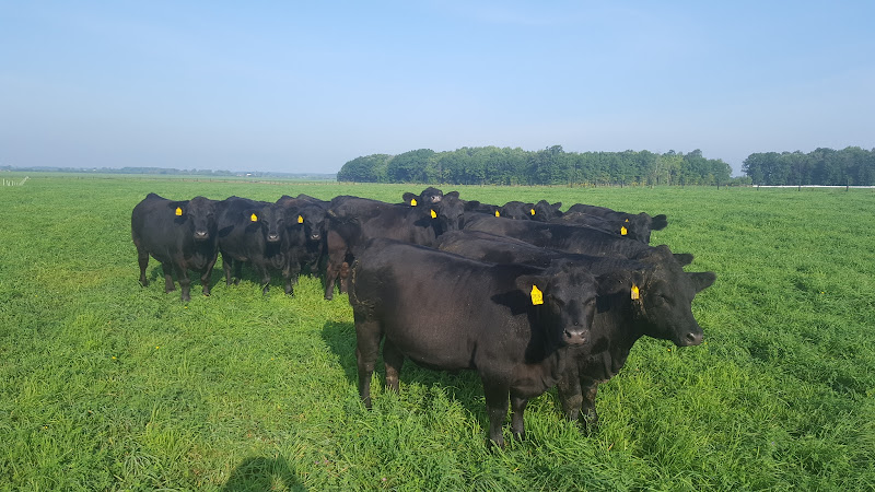 Landmark Pastoral Farms photo 3