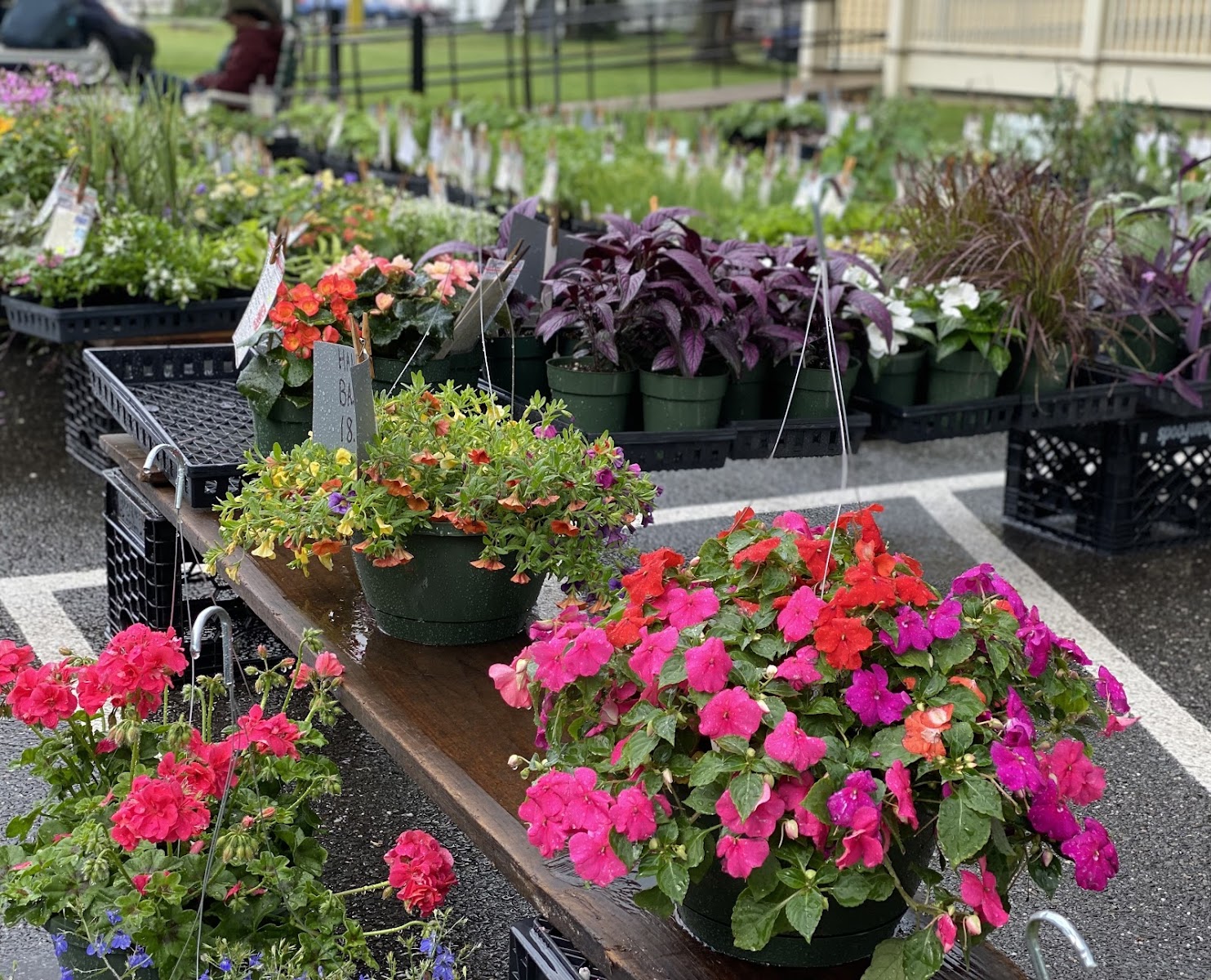 Florence Farmers' Market photo 2