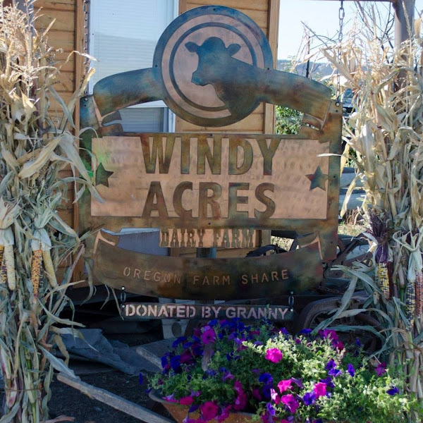 Windy Acres Dairy Farm photo 2