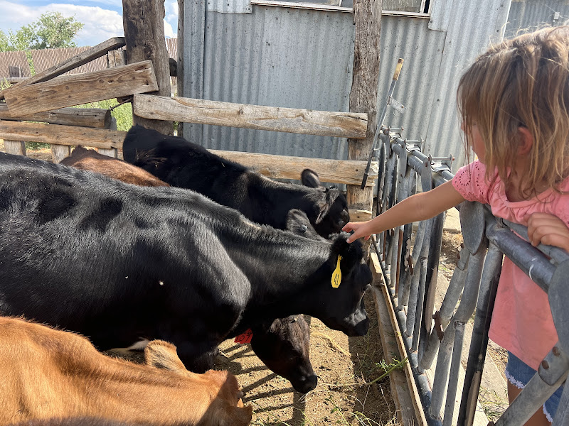 Willmarth Family Farm