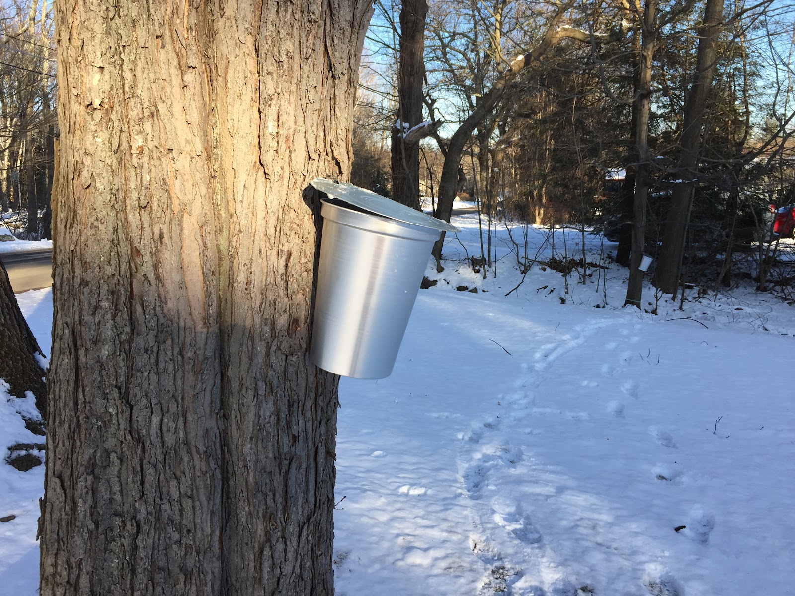 Hartland Hollow Modern Homestead photo 2