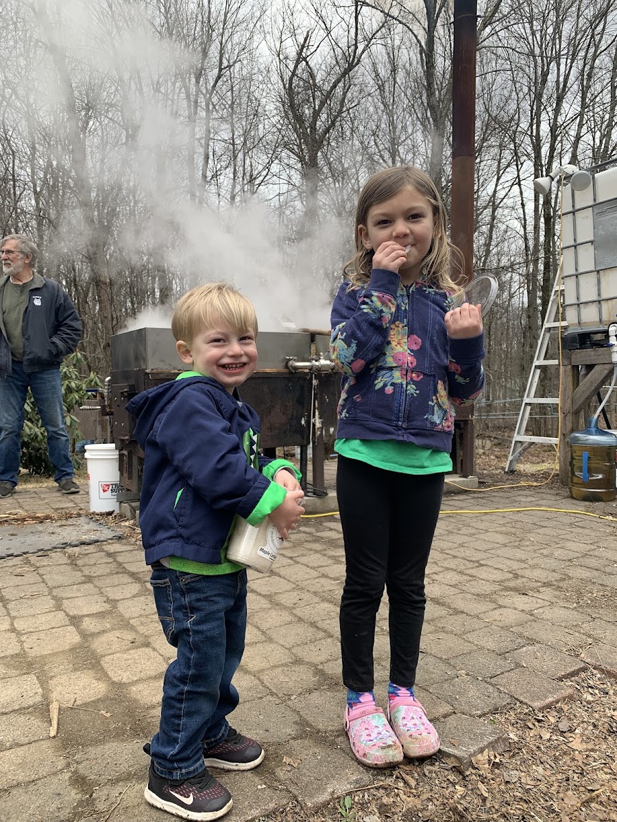 Hartland Hollow Modern Homestead photo 3