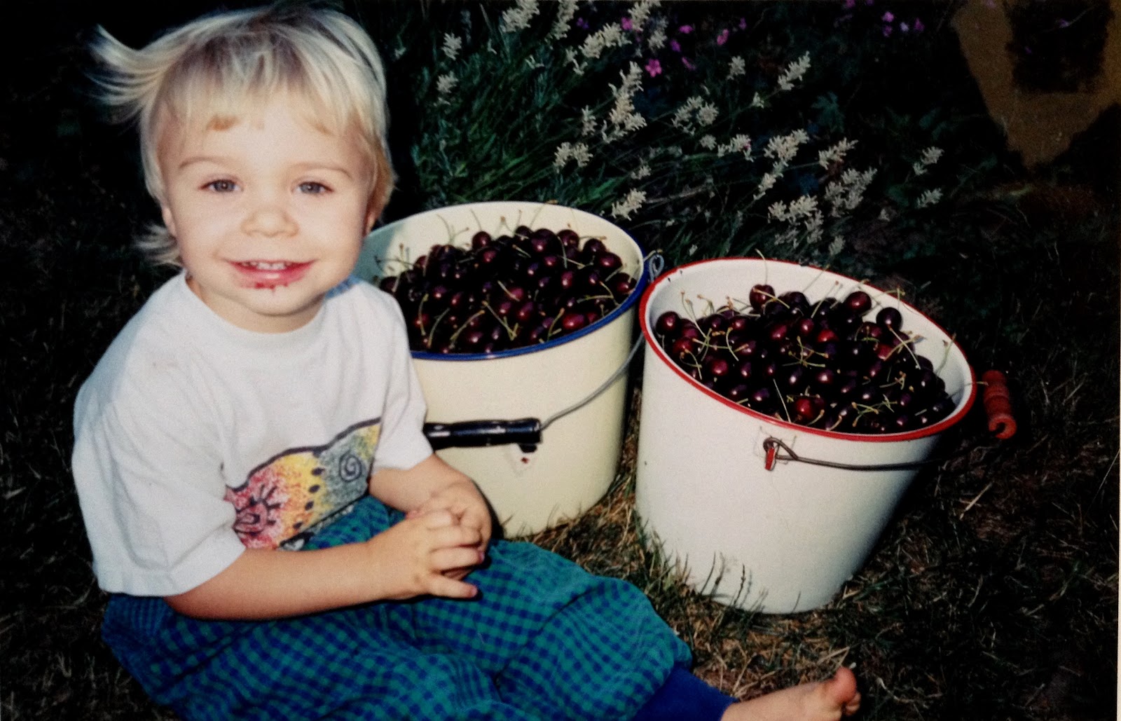 Hilda's Organic U-Pick photo 2