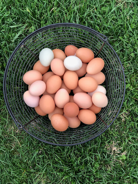 Woods Edge Farm photo 3