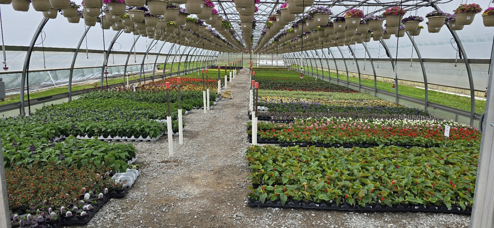 McNitt Growers LLC photo 2