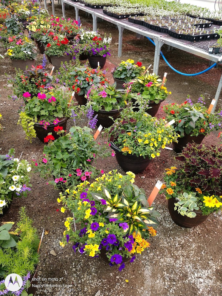 McNitt Growers LLC photo 3