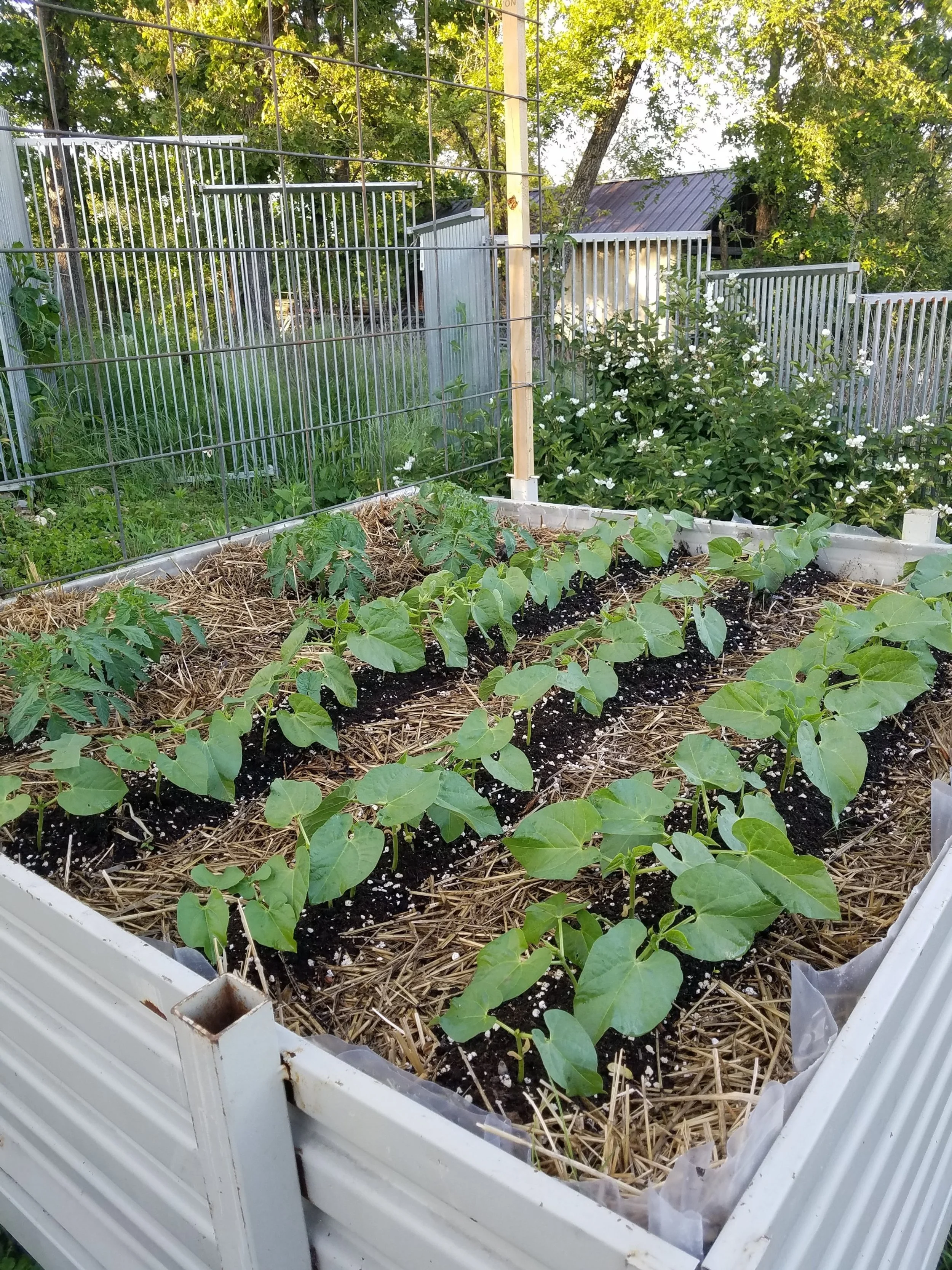 Shortline Produce Co.