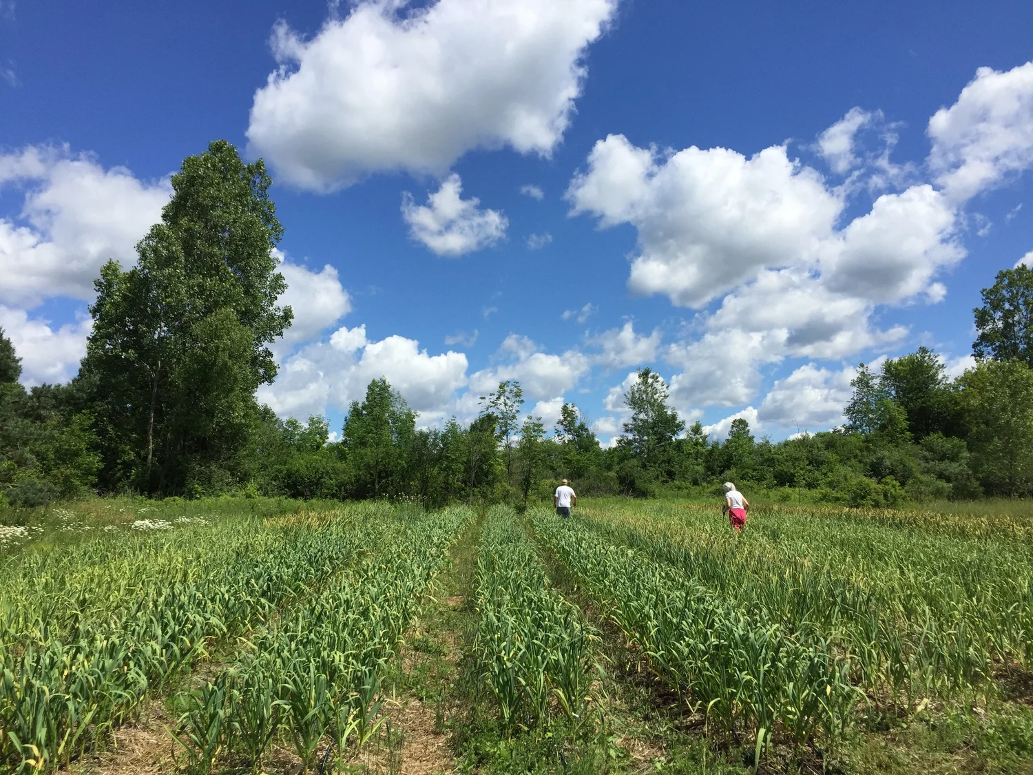 Raindance Organic Farm