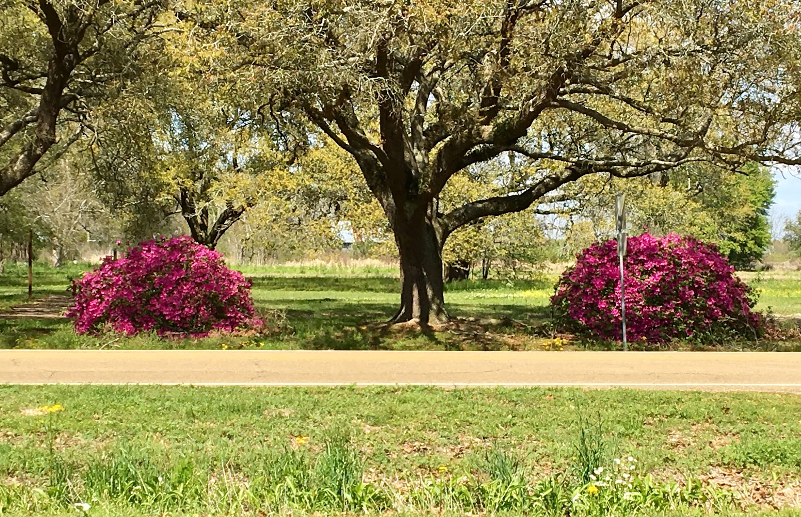Point Blue Farm L.L.C Stand