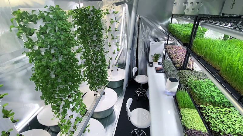 Rochester Microgreens