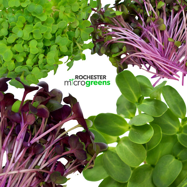 Rochester Microgreens photo 2