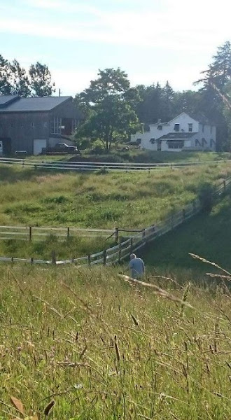 Fly by Night Farms