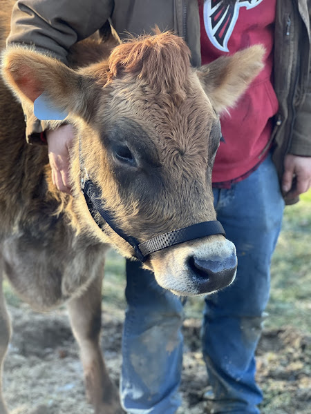 Bucket List Homestead photo 2