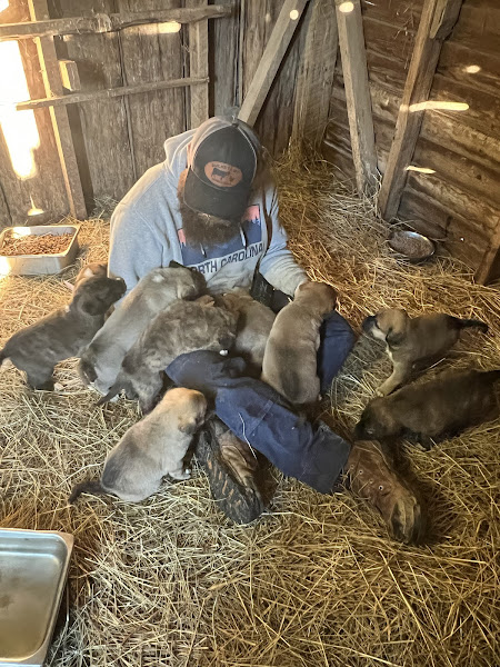 Bucket List Homestead photo 3