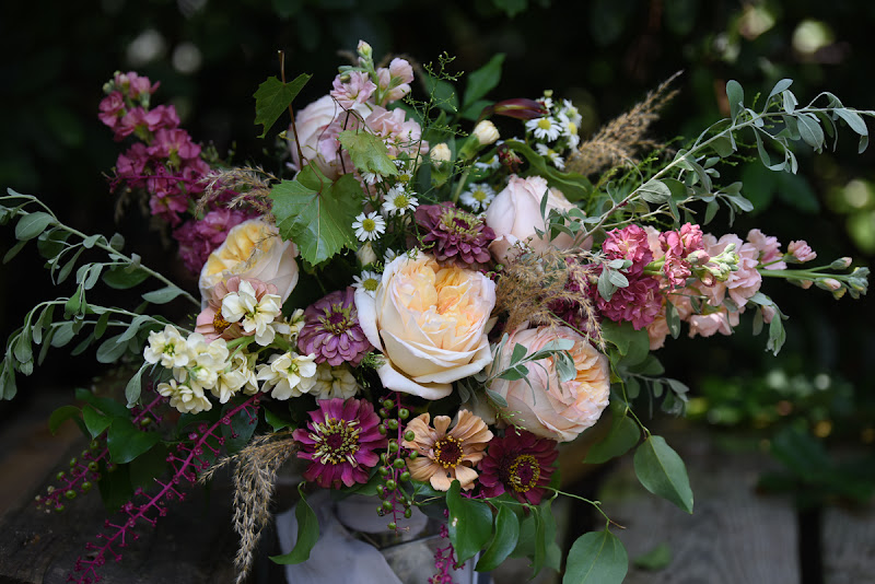 Cold Creek Natural Farm photo 3