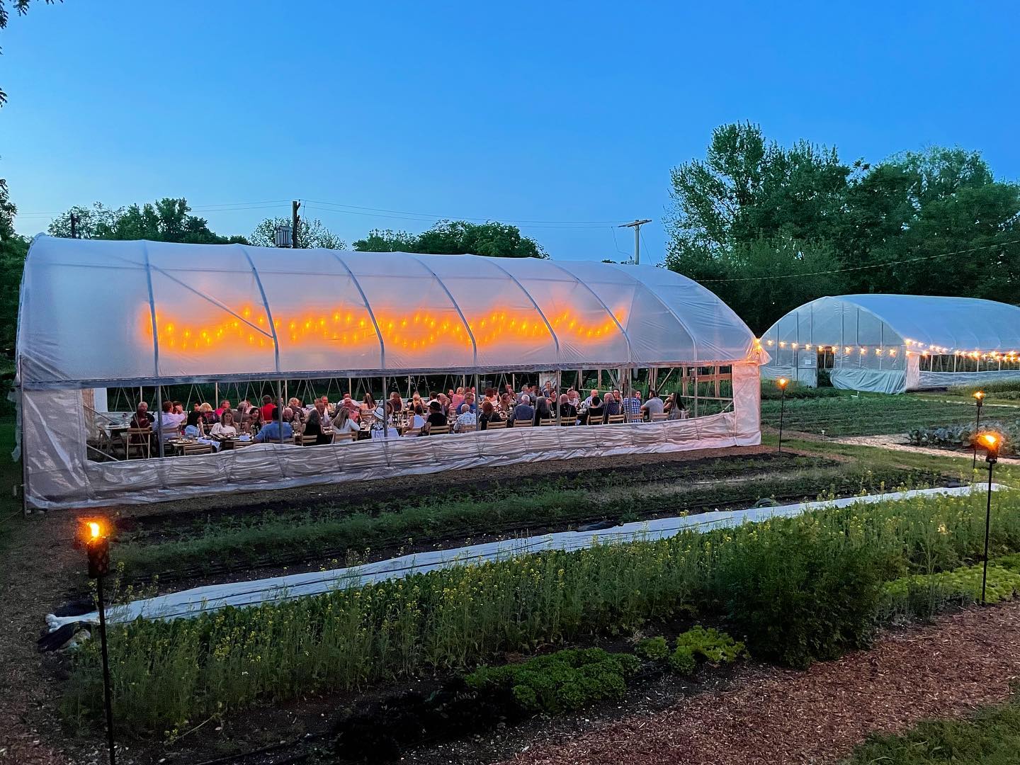 Urban Roots Farm CSA, homegrown produce