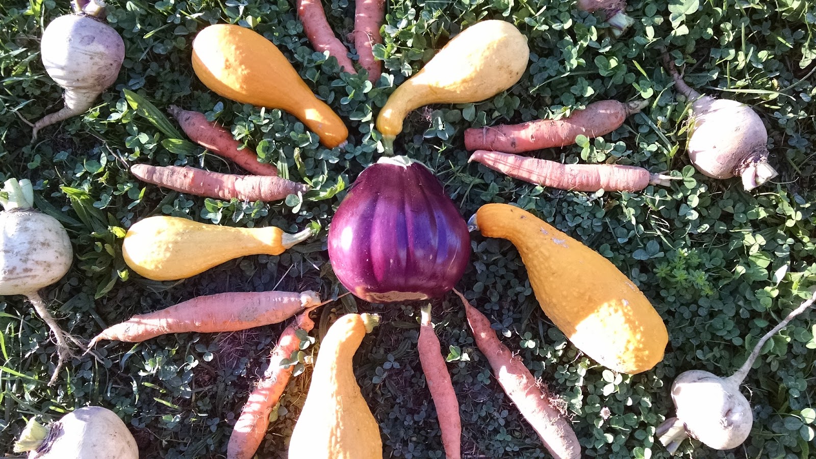 Gakwi:yo:h Farms Market photo 3