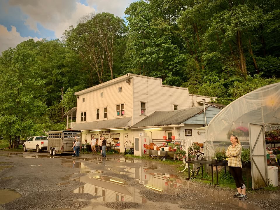 Aletta's Farm Market photo 2