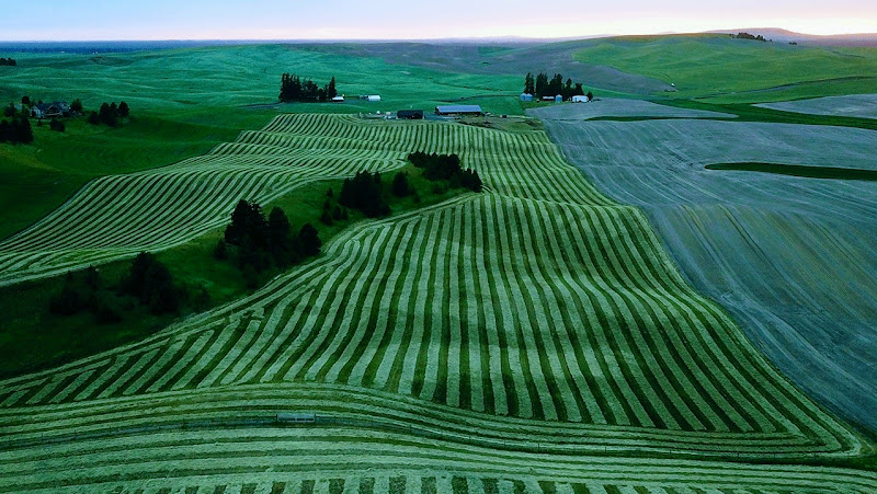 Browning Beef Llc photo 2