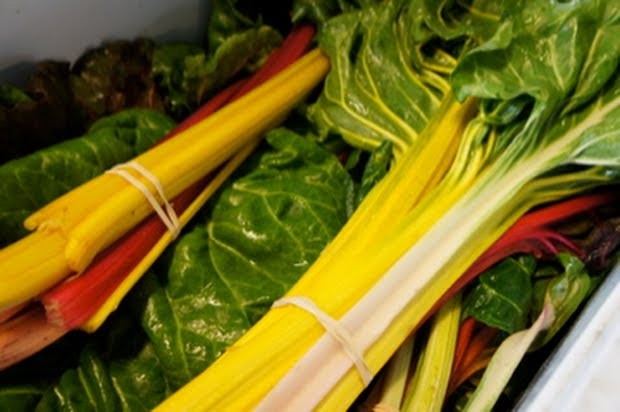 Goetz Family Farm CSA photo 4