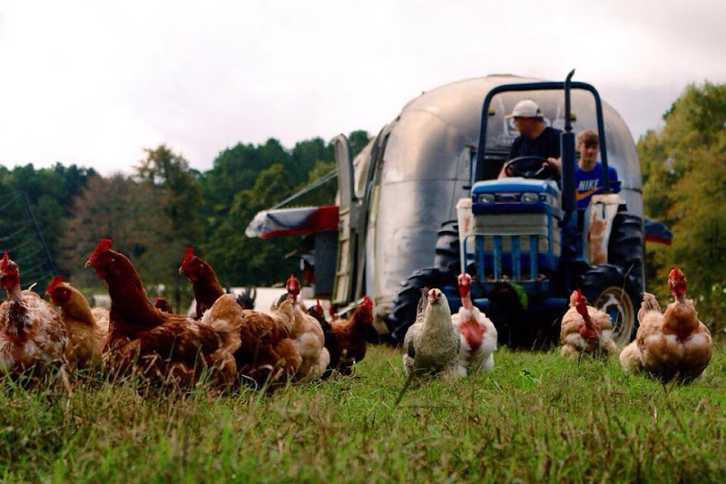 180 Degree Farm photo 9