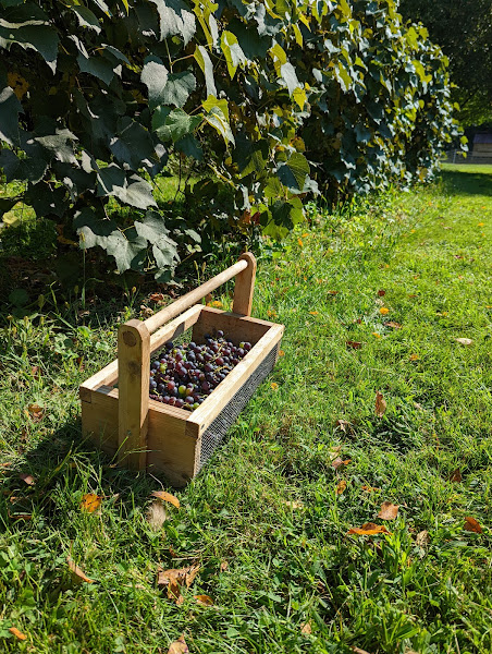 Polsgrove Hill Diversified Farm