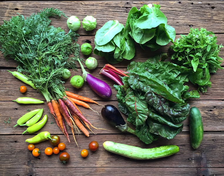 Kneehigh Farm photo 2