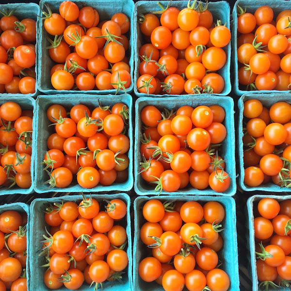 Kneehigh Farm photo 3