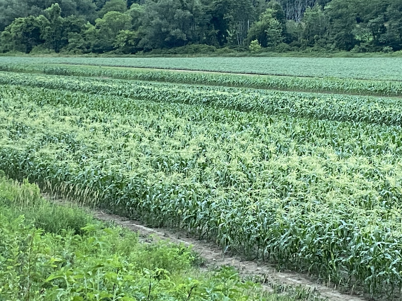 Blue Barn Farm photo 4