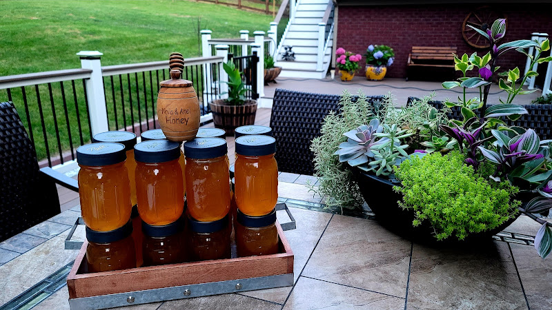 NKY Honey Bees photo 2