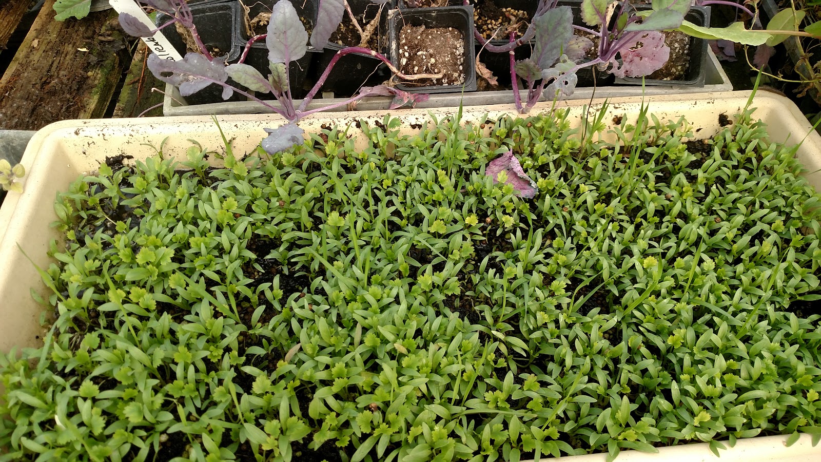 Crestview Inc. Farms photo 2