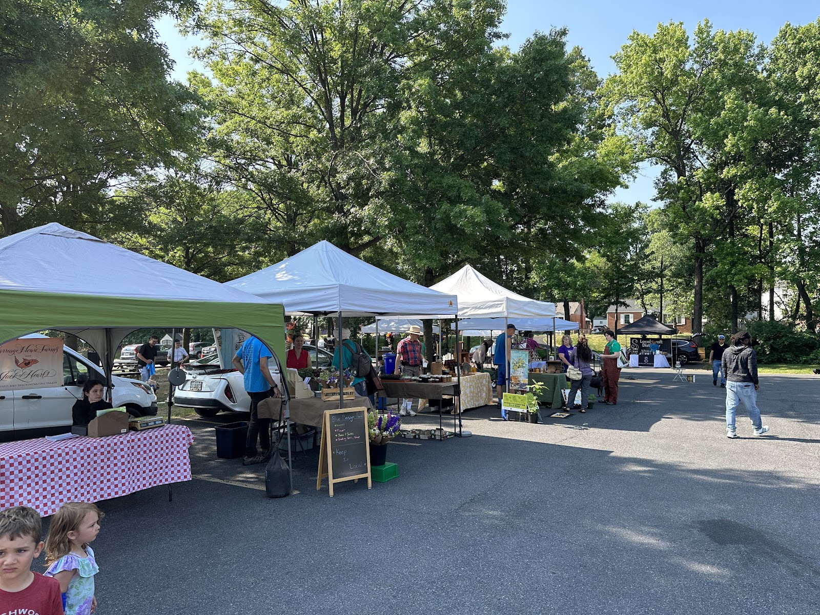 Hollywood Farmers Market- College Park, MD