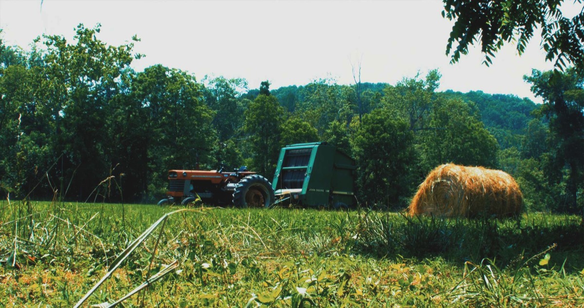 Back Creek Bend Farm