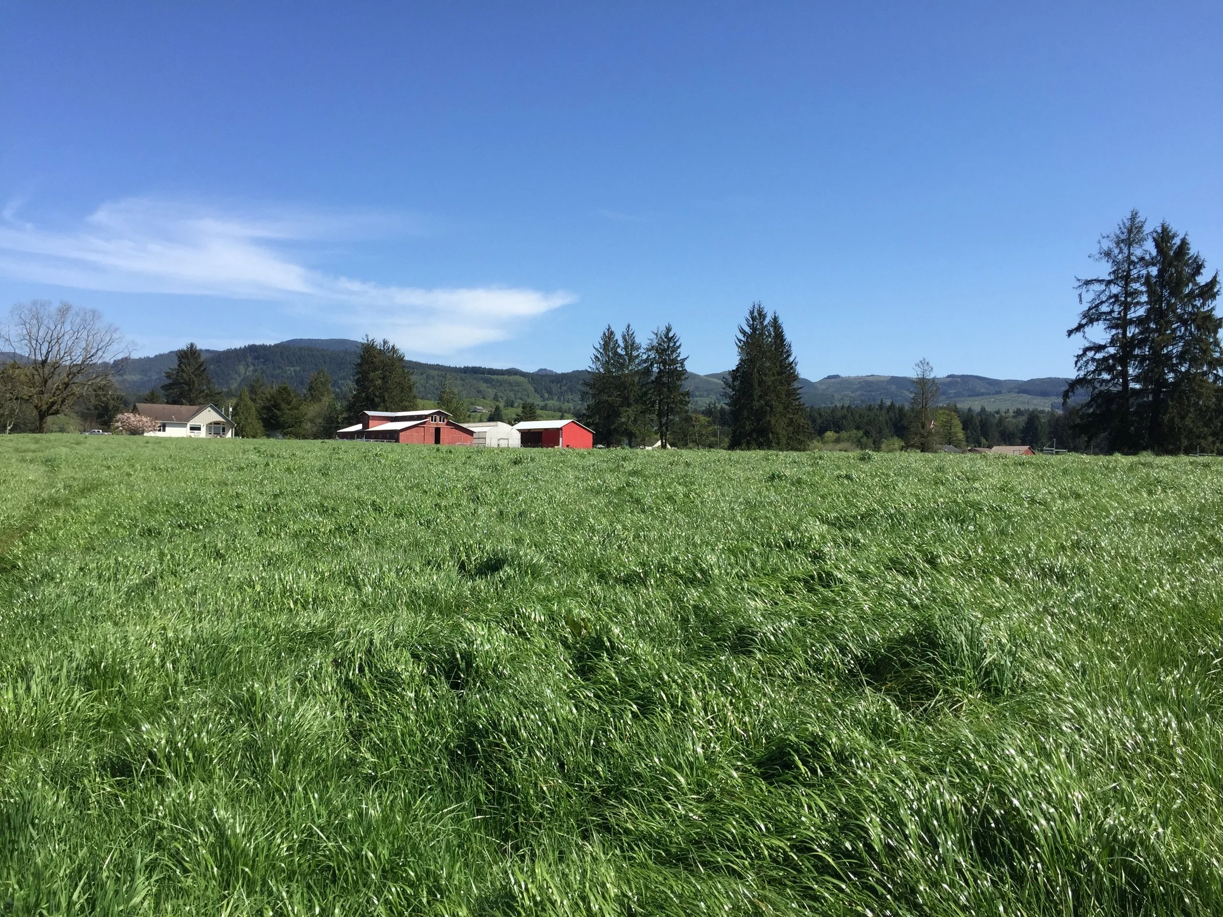Pitch & Plow Farms