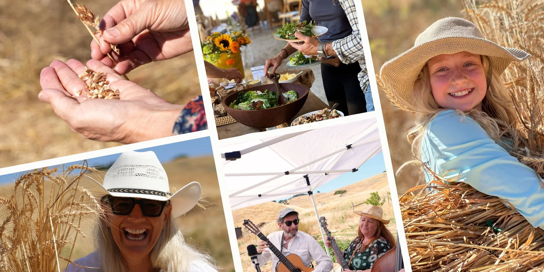 Honore Farm and Mill