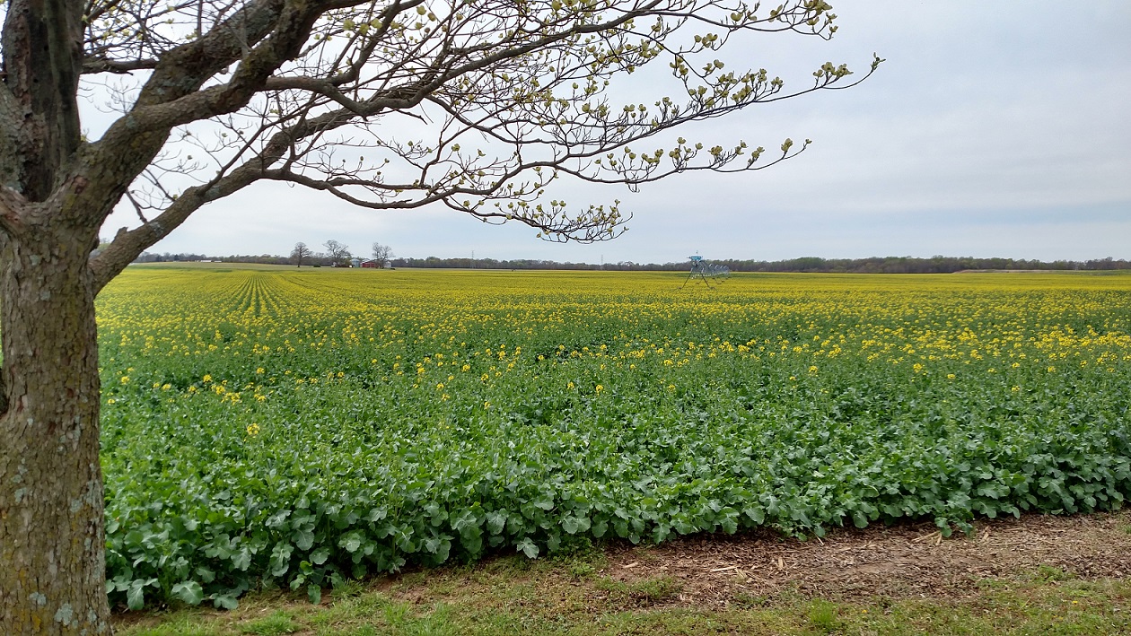 Sincerity Farm photo 2