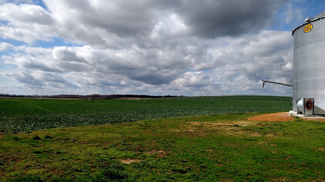 Sincerity Farm photo 3