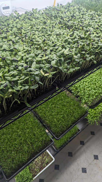 McNabb Microfarm LLC