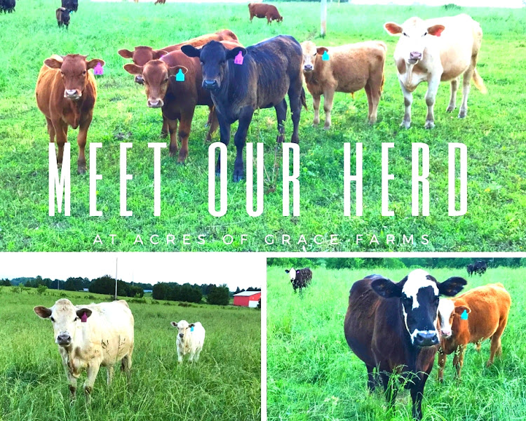 Acres of Grace Farms