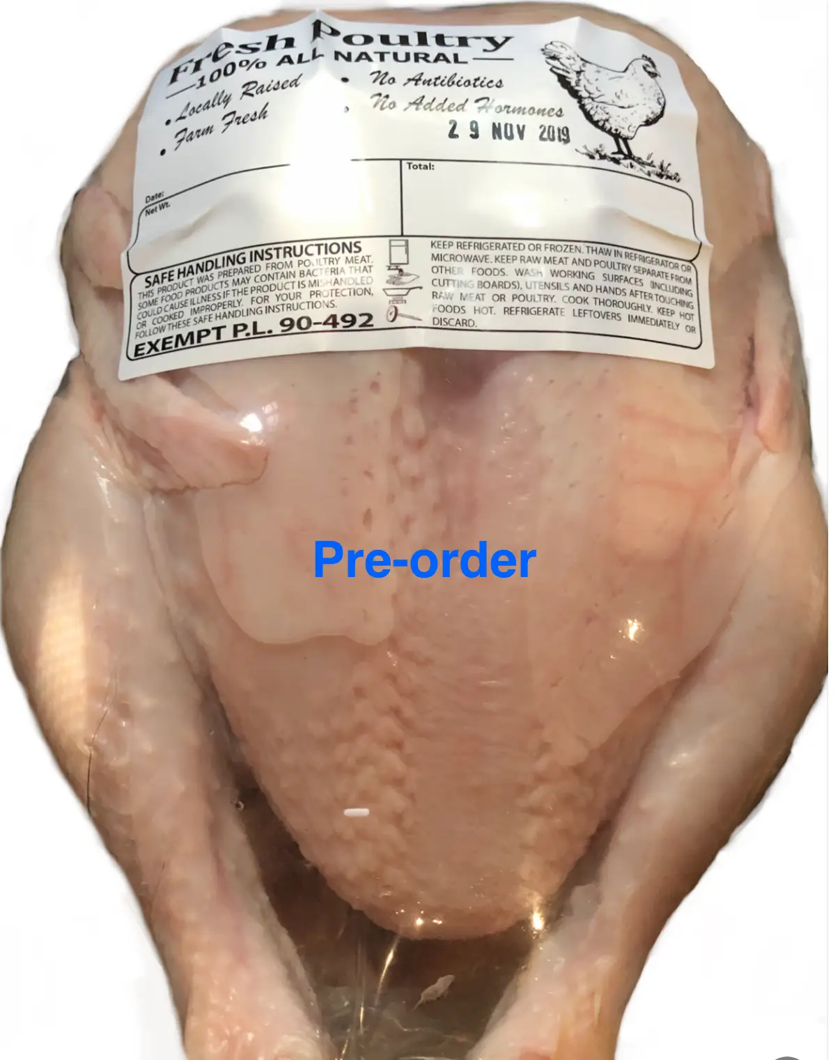 AAA Chickens And more LLC photo 21