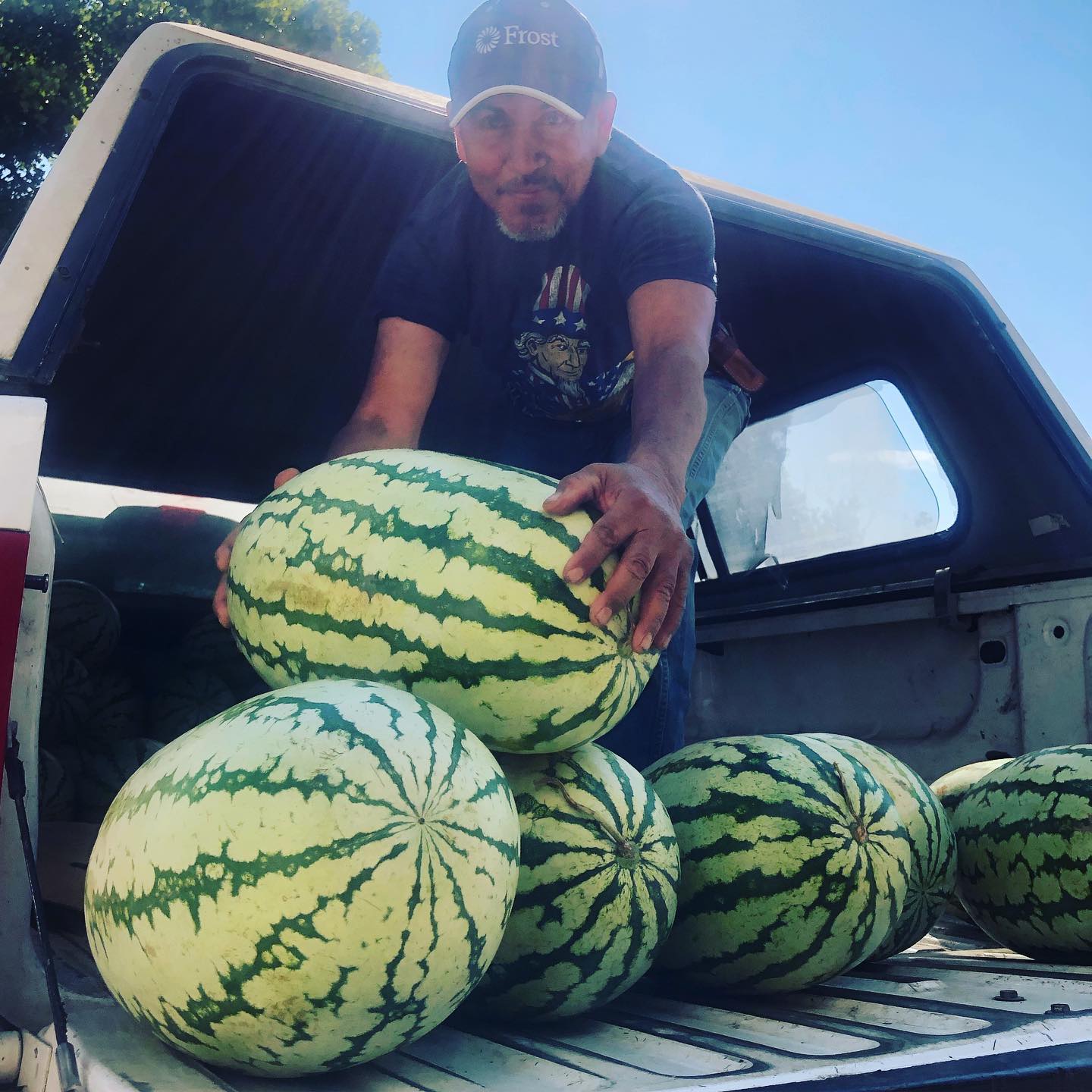 The Farm Connection - Boerne