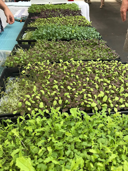 Sedona Community Farmers Market at Tlaquepaque / Creekside