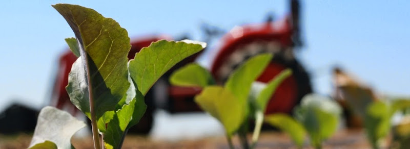 Blessing Falls Family Farm photo 2