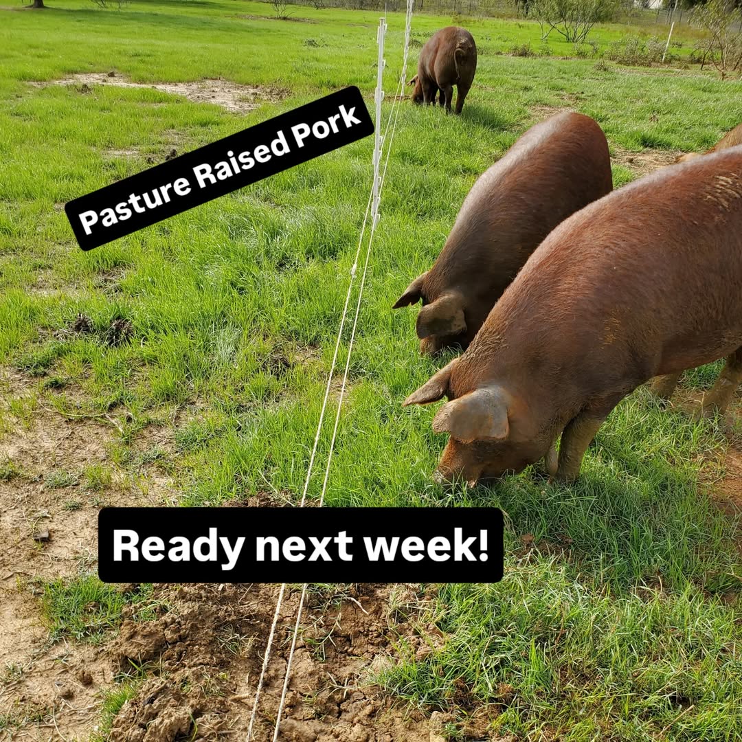 Blessing Falls Family Farm