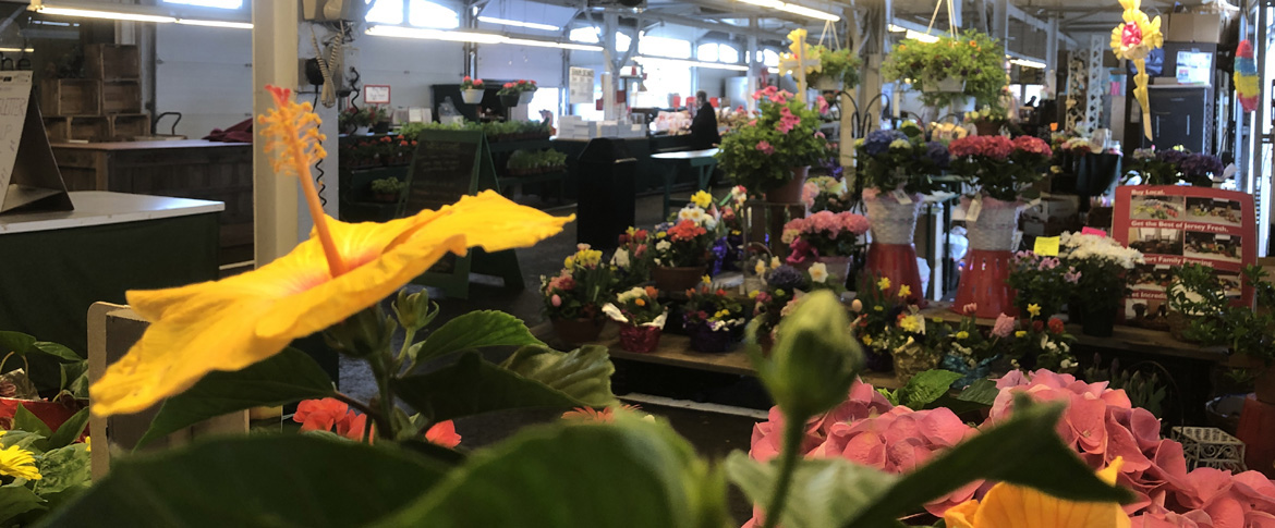 Trenton Farmers Market
