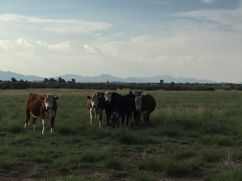 Trilogy Beef Community LLC