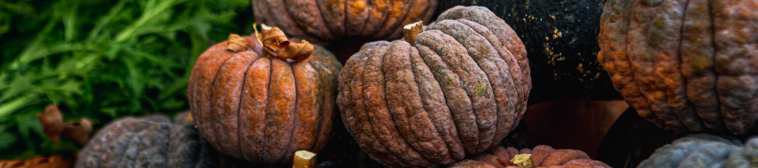 Oregon City Year-Round Farmers Market