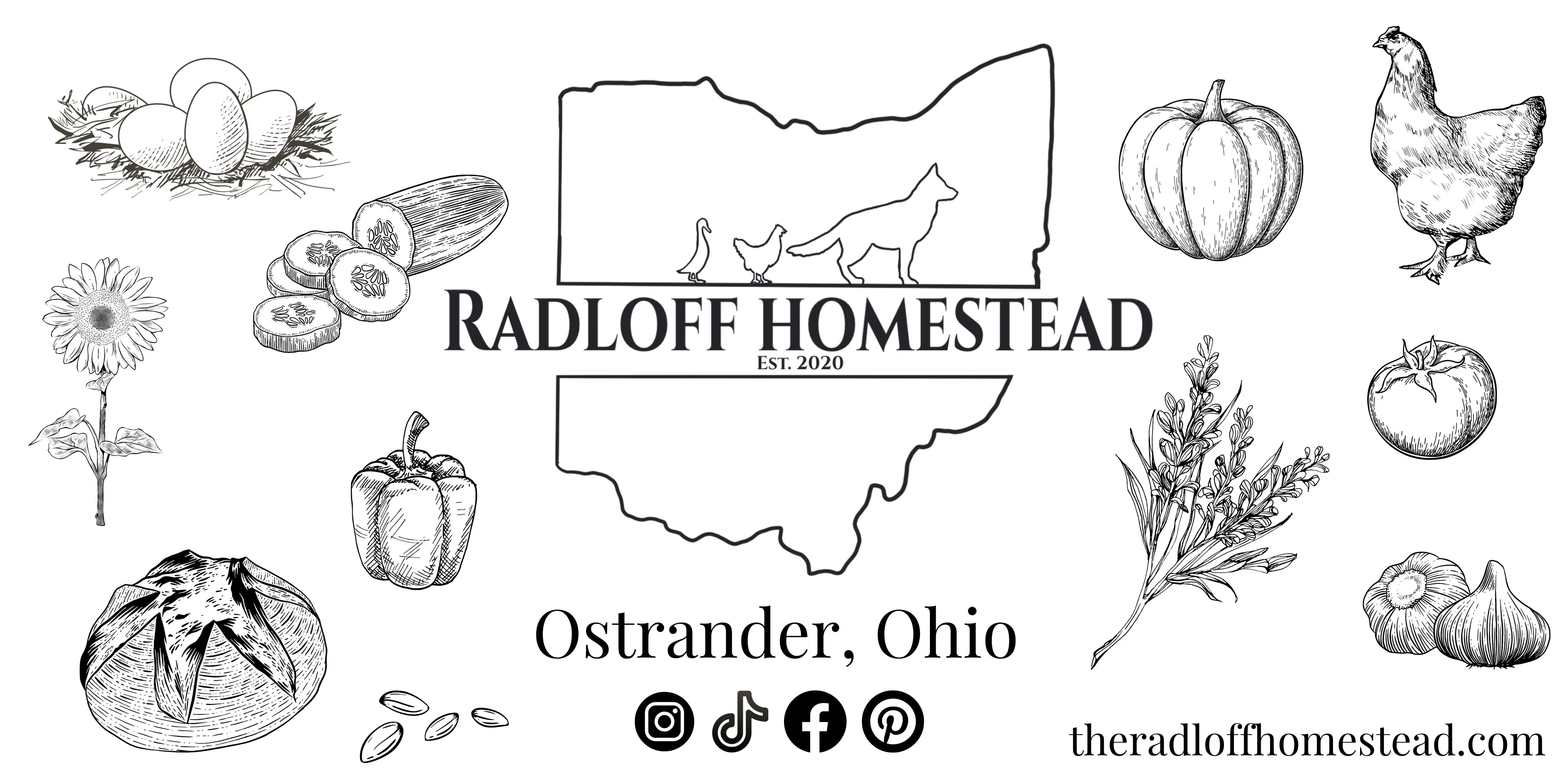 The Radloff Homestead