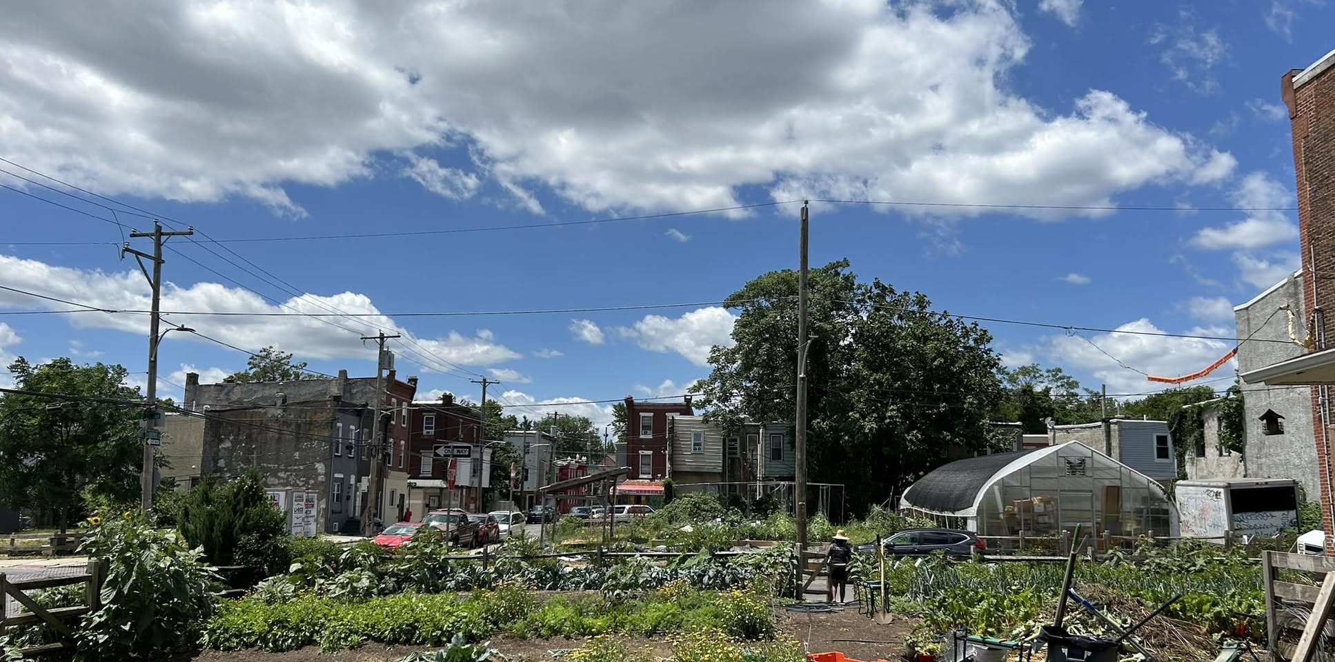 Sanctuary Farm Phila