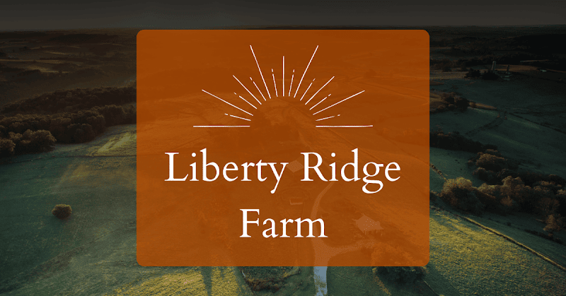 Sugar Ridge Ranch photo 6